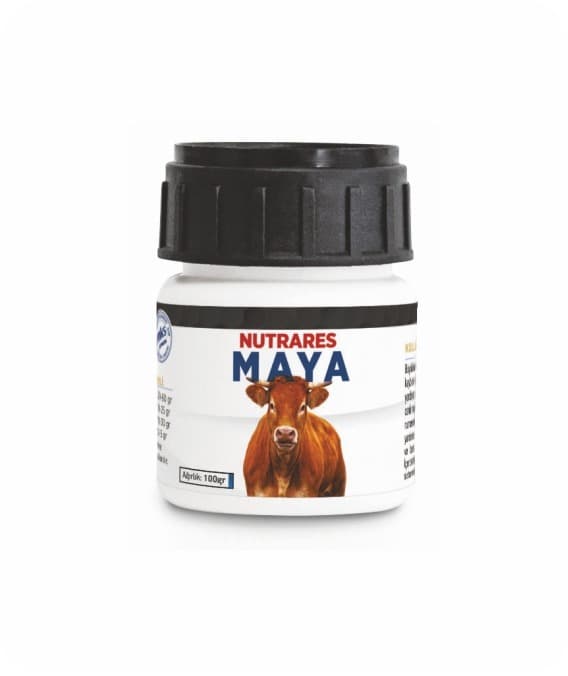 MAYA